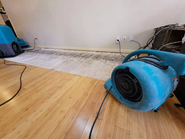 Professional Water Damage Repair technician working in Pleasant Hill, PA